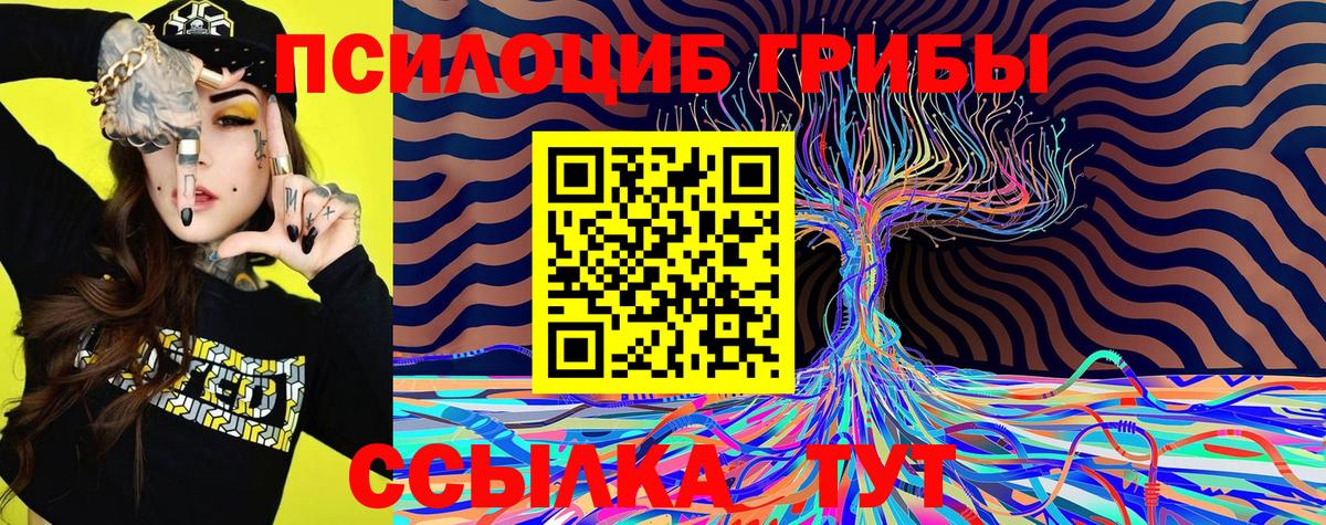 Псилоцибиновые грибы ЛСД Курган